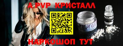 СК Гатчина