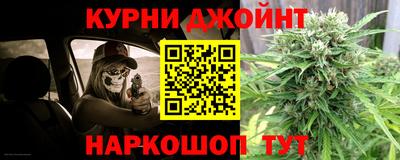 СК Гатчина