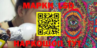 СК Гатчина