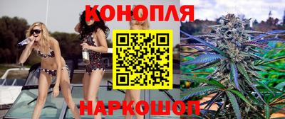 СК Гатчина