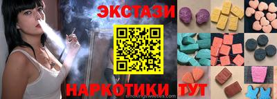 СК Гатчина