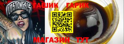 СК Гатчина
