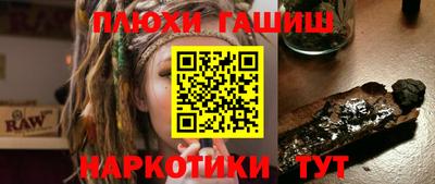 СК Гатчина