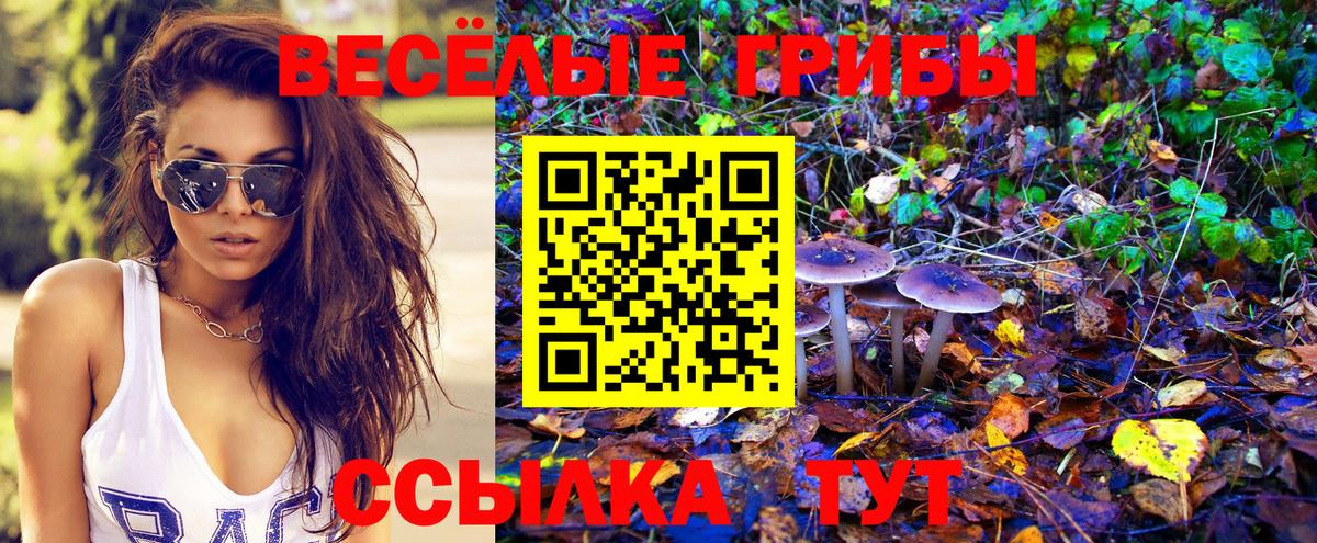 Псилоцибиновые грибы MAGIC MUSHROOMS  Вход с VPN  Междуреченск 