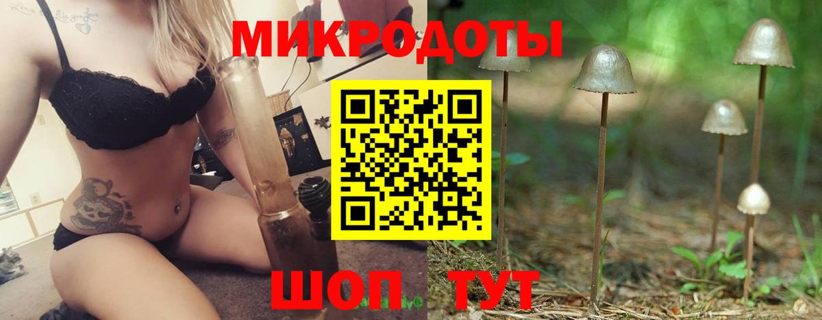 Галлюциногенные грибы Psilocybine cubensis Междуреченск